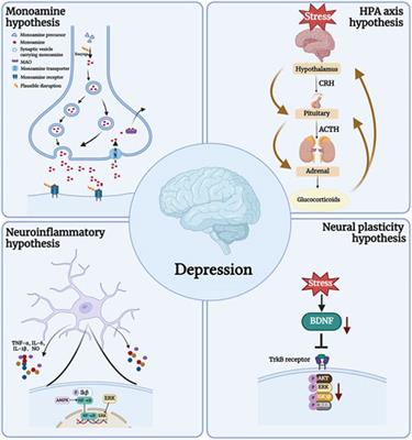 Marine natural products: potential agents for depression treatment